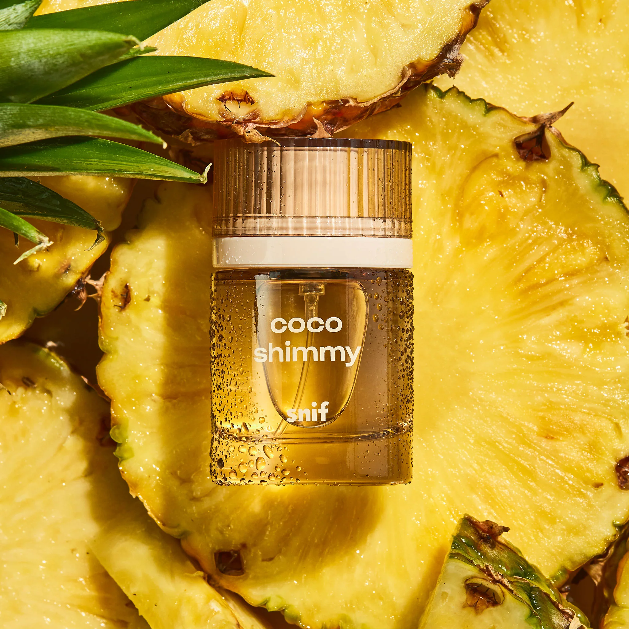 Coco Shimmy - Image 6