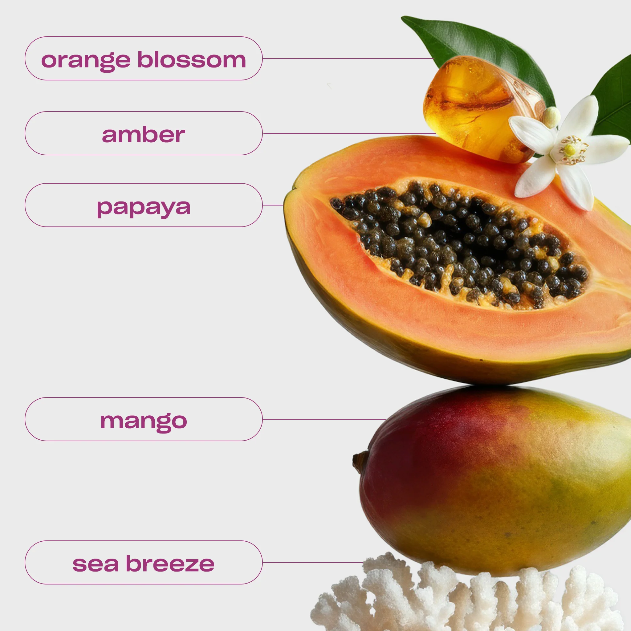 ONLY SUNSHINE - TROPICAL FRAGRANCE BY MIKAYLA NOGUEIRA - Image 7