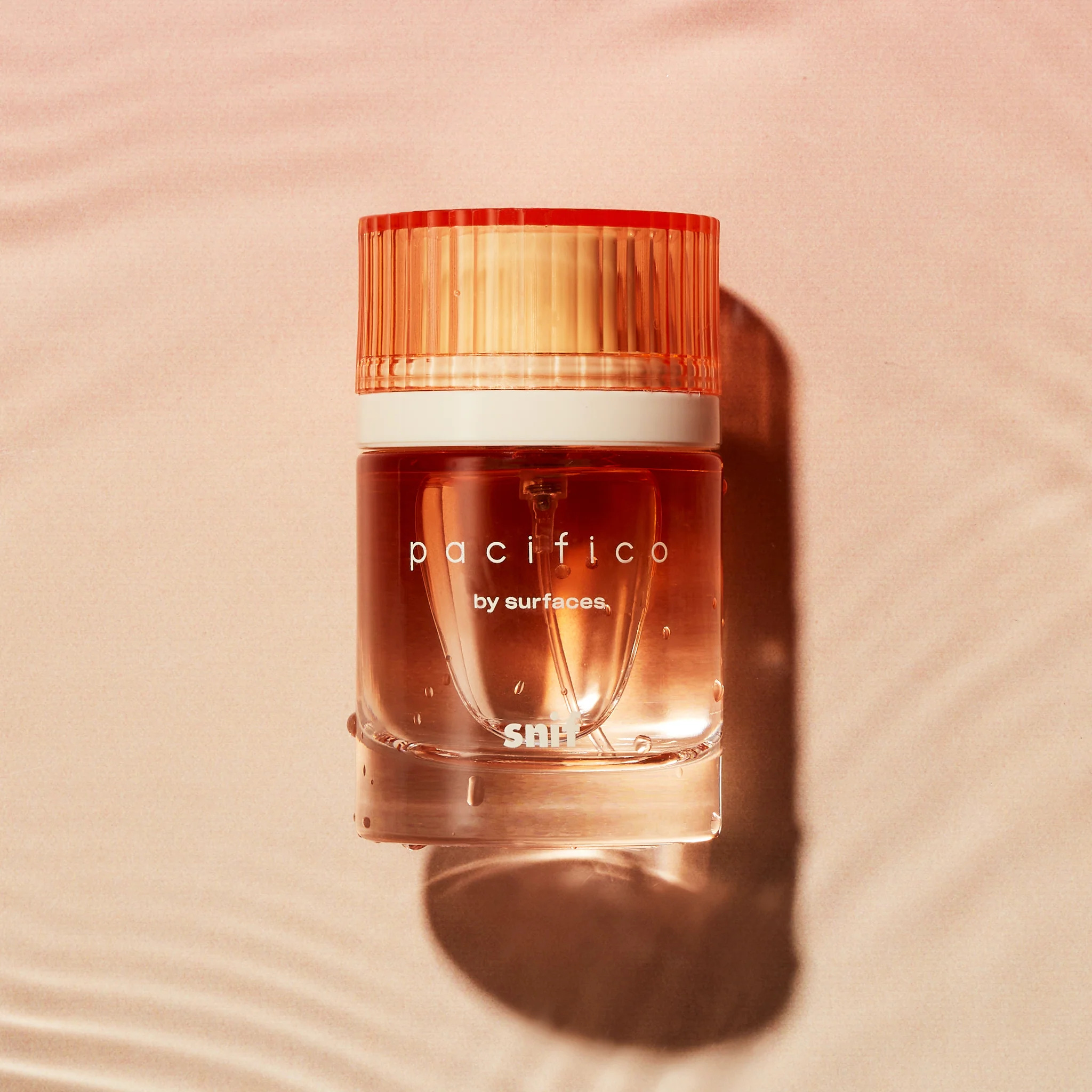 Pacifico - Image 3
