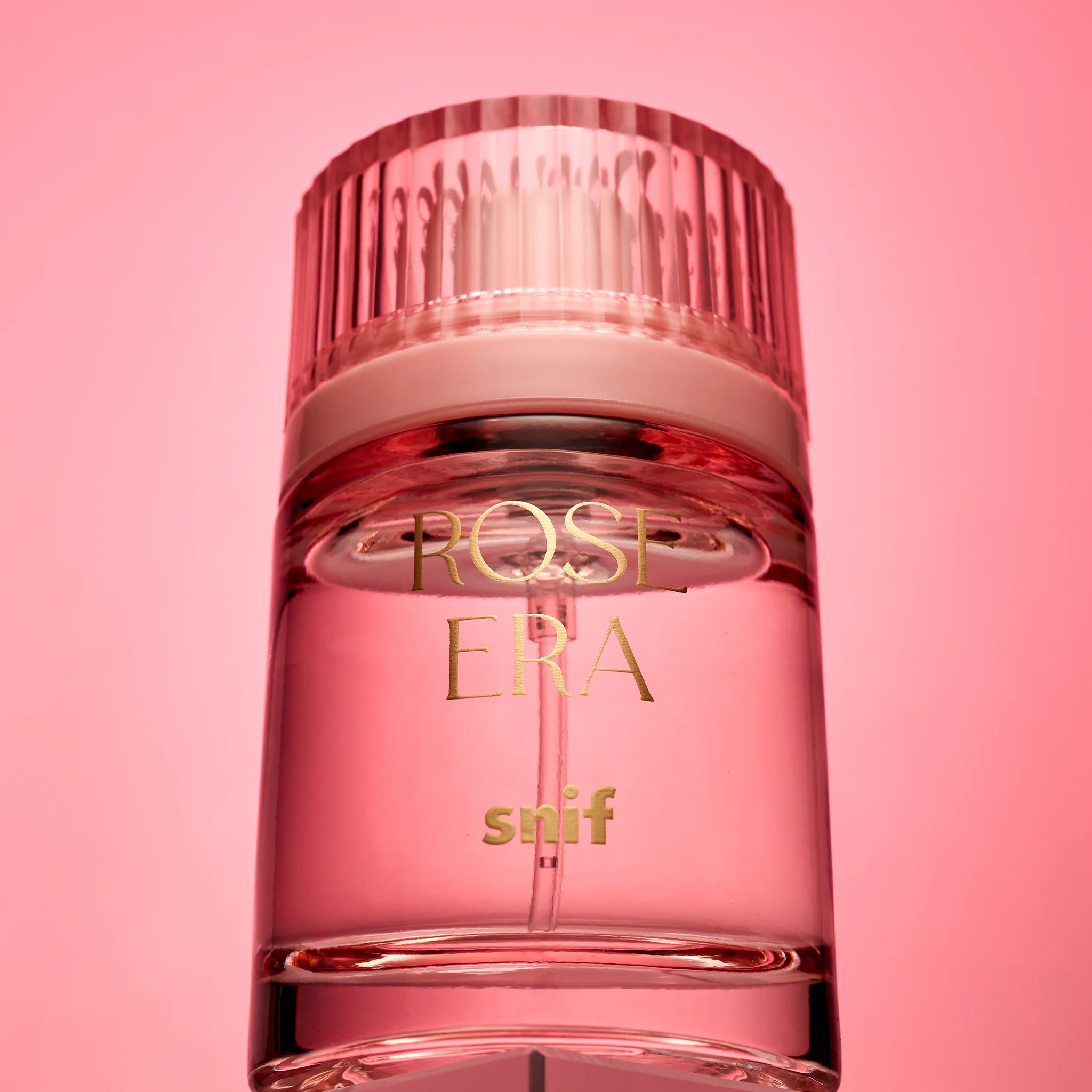Rose Era - Image 5