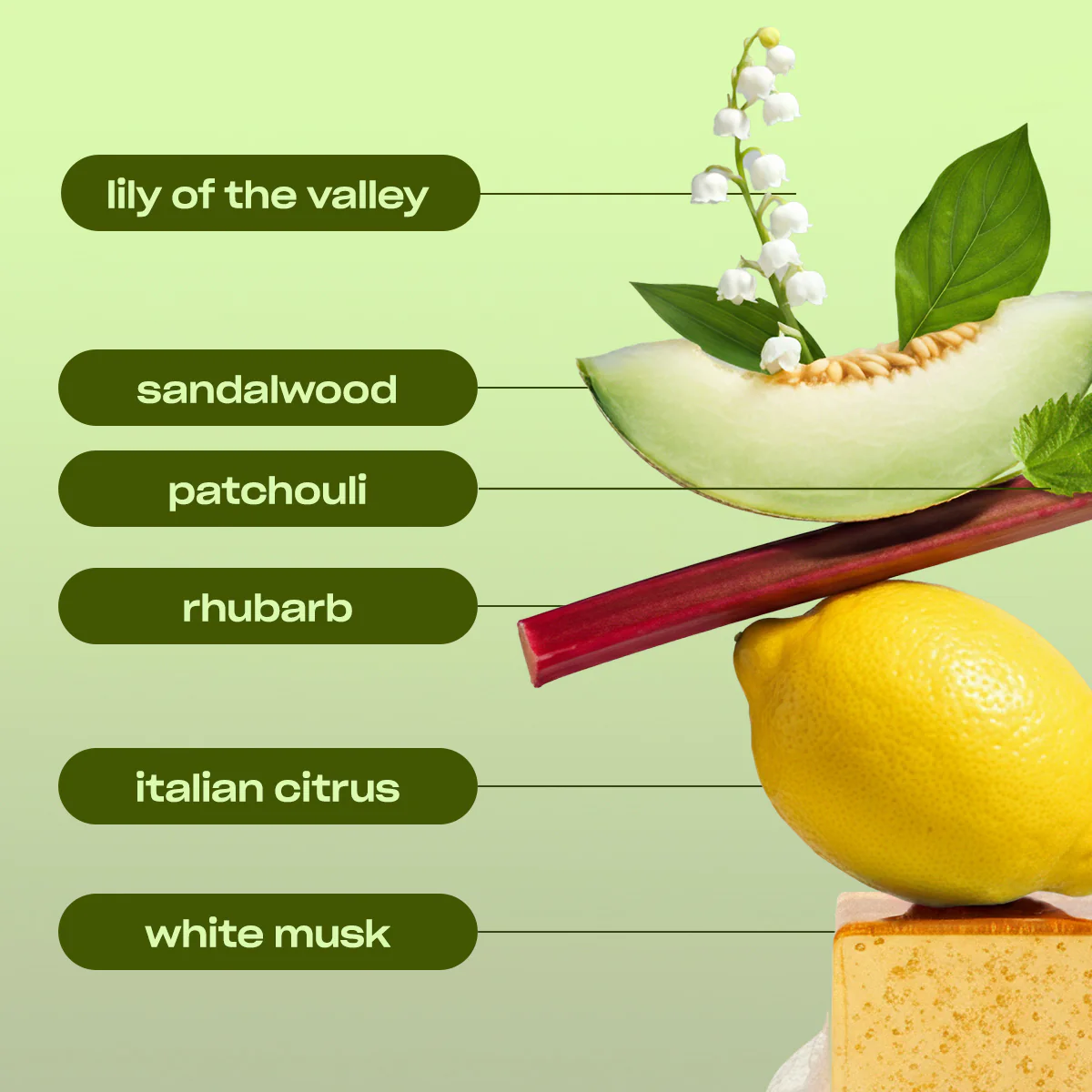 SIGNATURE SPIN - FRESH CITRUS SCENTED LAUNDRY DETERGENT - Image 3