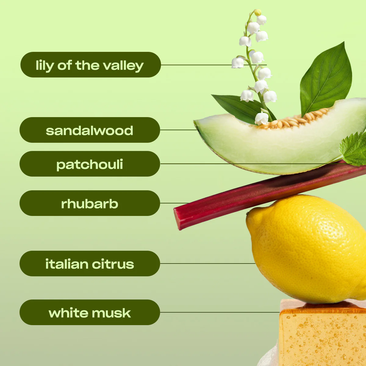 SIGNATURE SPIN - FRESH CITRUS LAUNDRY SCENT BOOSTER - Image 5