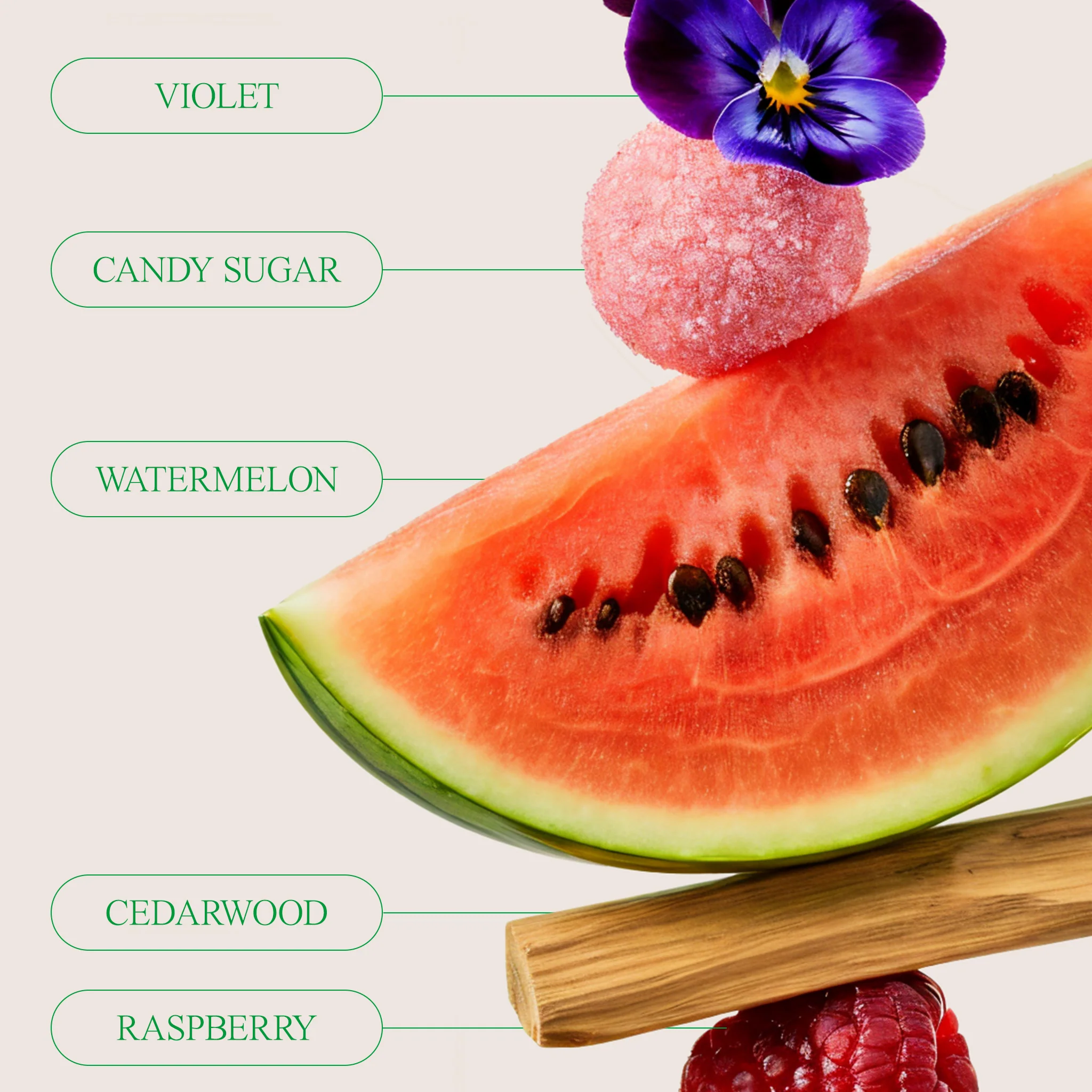 SWEDE TOOTH - WATERMELON SWEDISH CANDY FRAGRANCE - Image 7